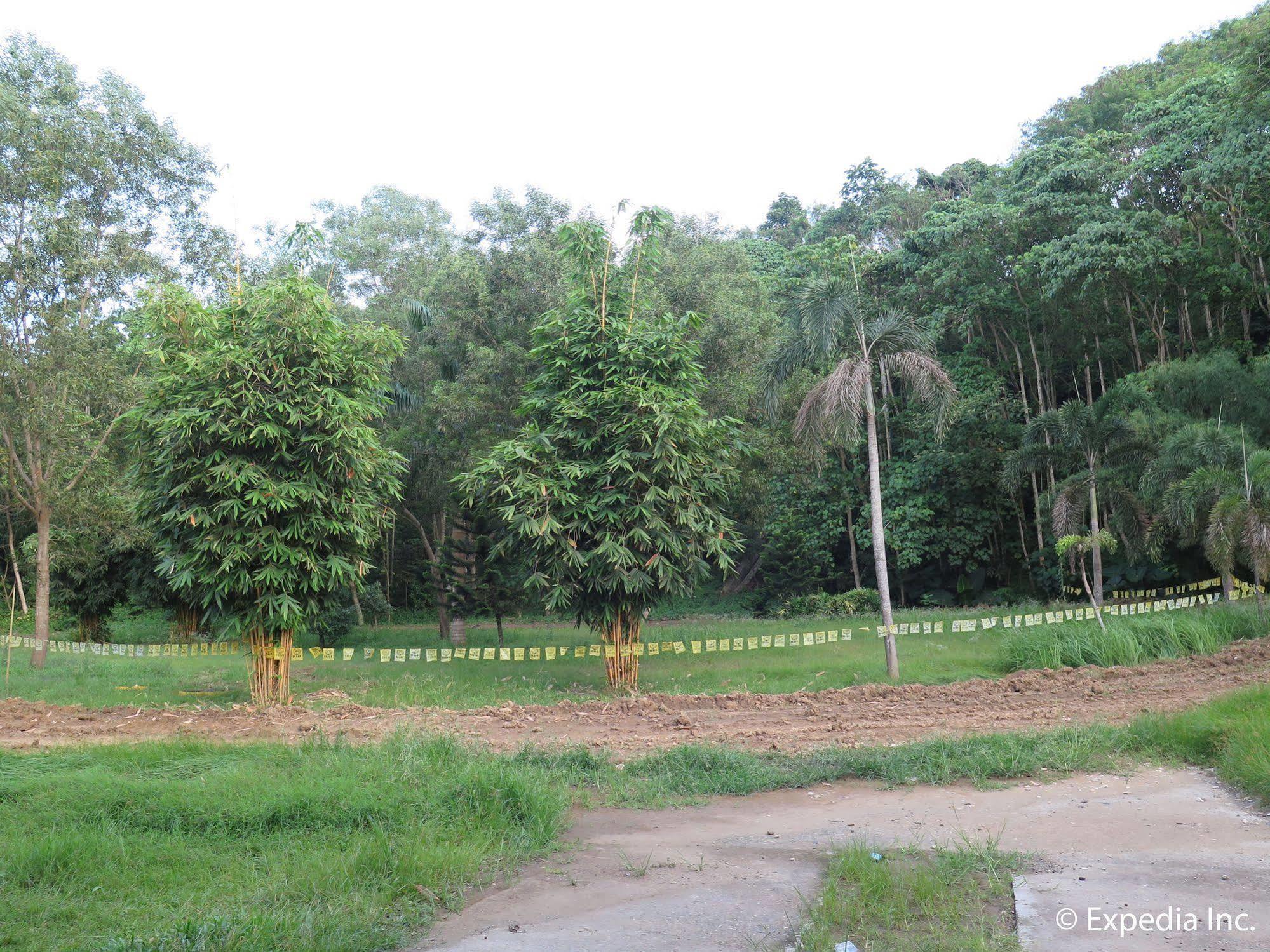 D'Leonor Inland Resort & Adventure Park Davao City Екстериор снимка